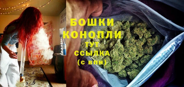 ГАЛЛЮЦИНОГЕННЫЕ ГРИБЫ Гусиноозёрск